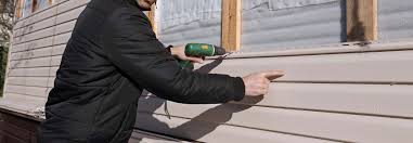 Best Insulated Siding Installation  in Fritch, TX